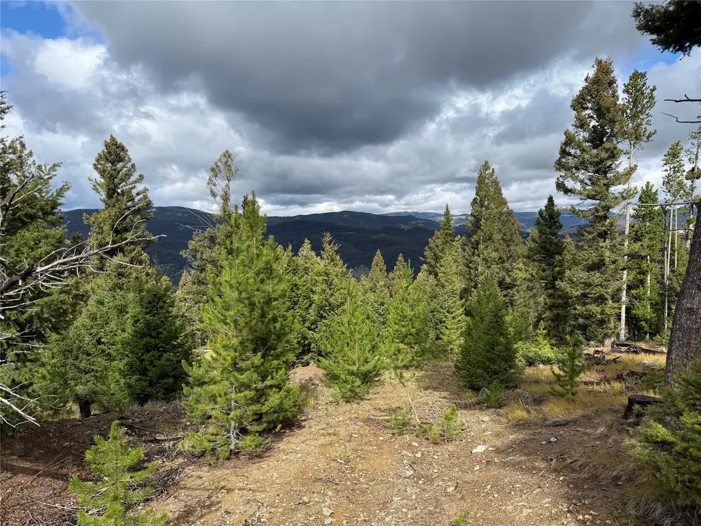 Lot 8 Ruby Mine Road Butte MT 59701