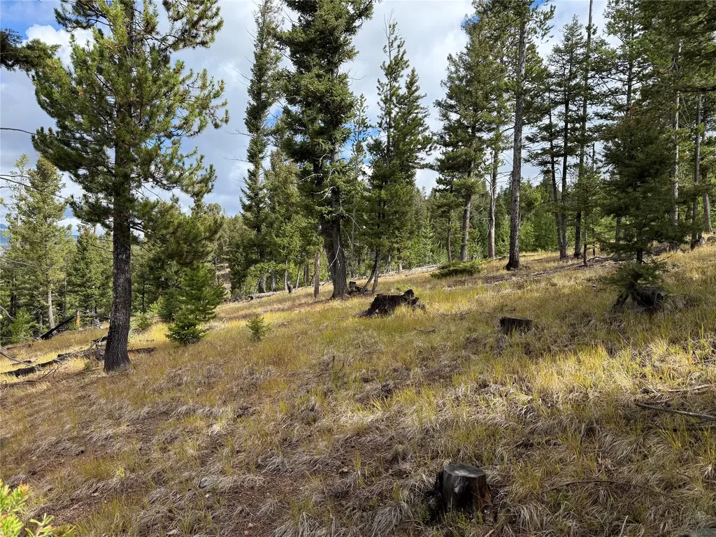 Lot 8 Ruby Mine Road Butte MT 59701