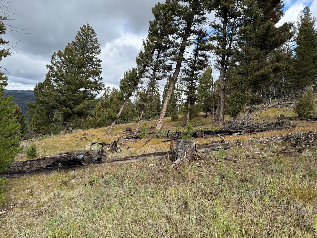 Lot 8 Ruby Mine Road Butte MT 59701
