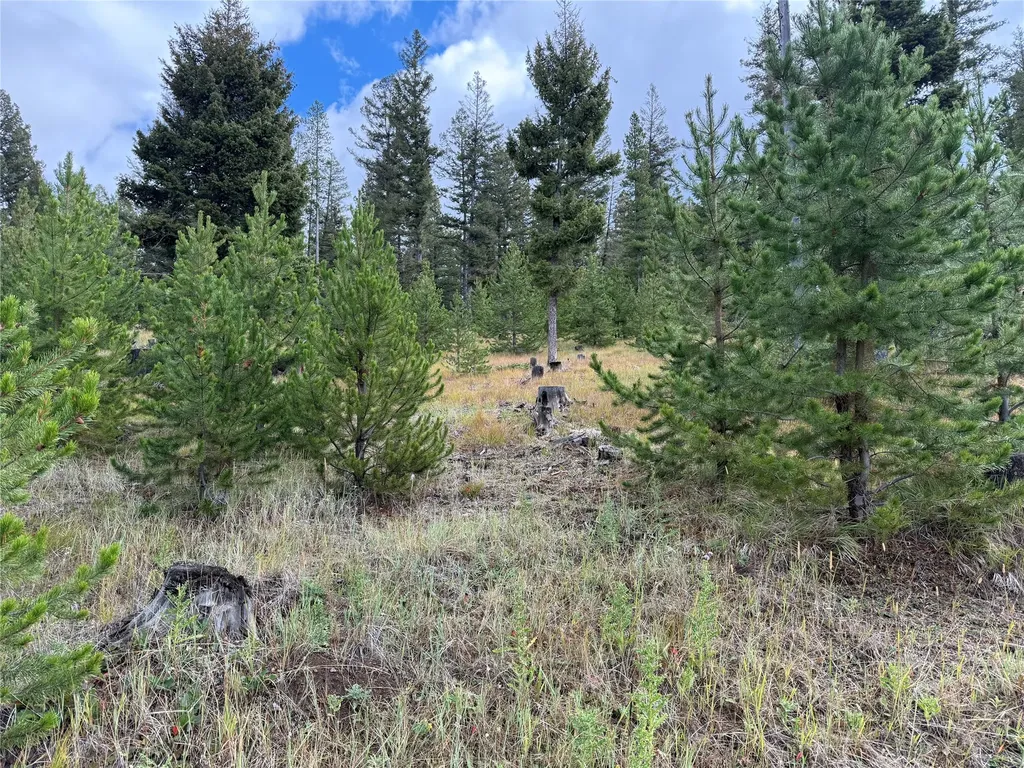 Lot 8 Ruby Mine Road Butte MT 59701