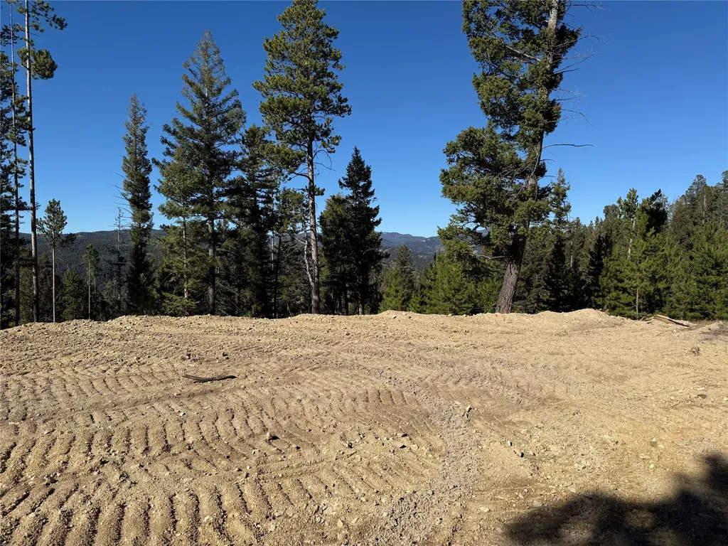 Lot 8 Ruby Mine Road Butte MT 59701