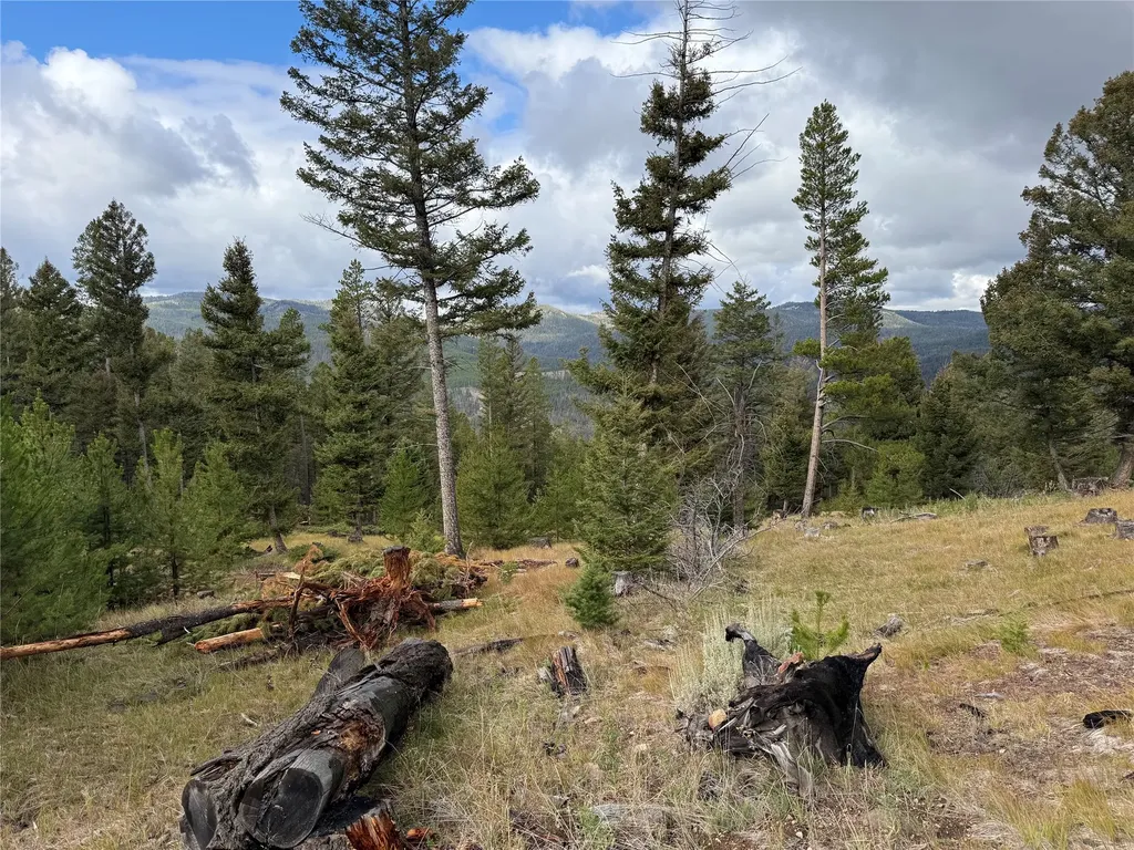Lot 8 Ruby Mine Road Butte MT 59701