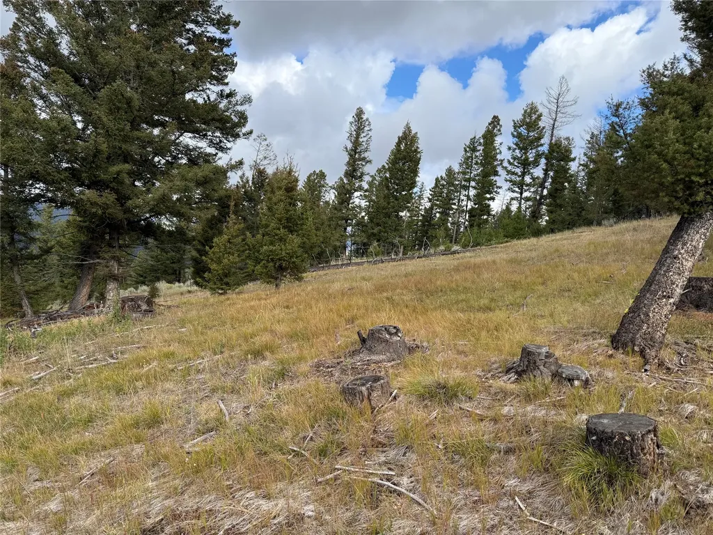 Lot 8 Ruby Mine Road Butte MT 59701