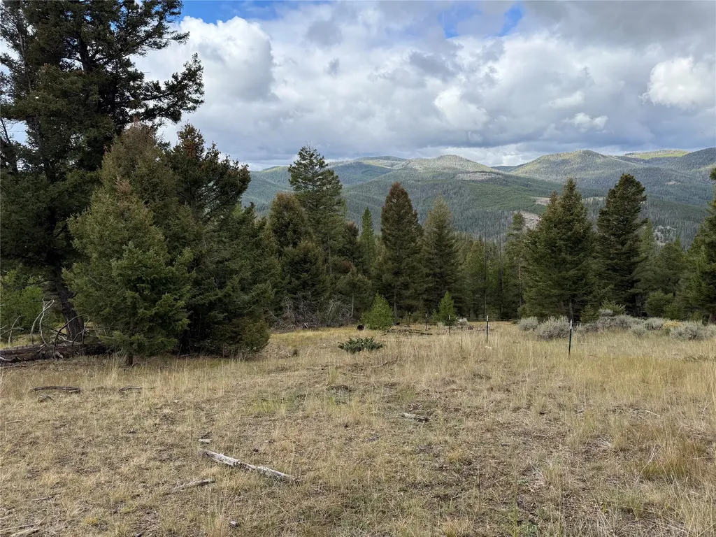 Lot 8 Ruby Mine Road Butte MT 59701