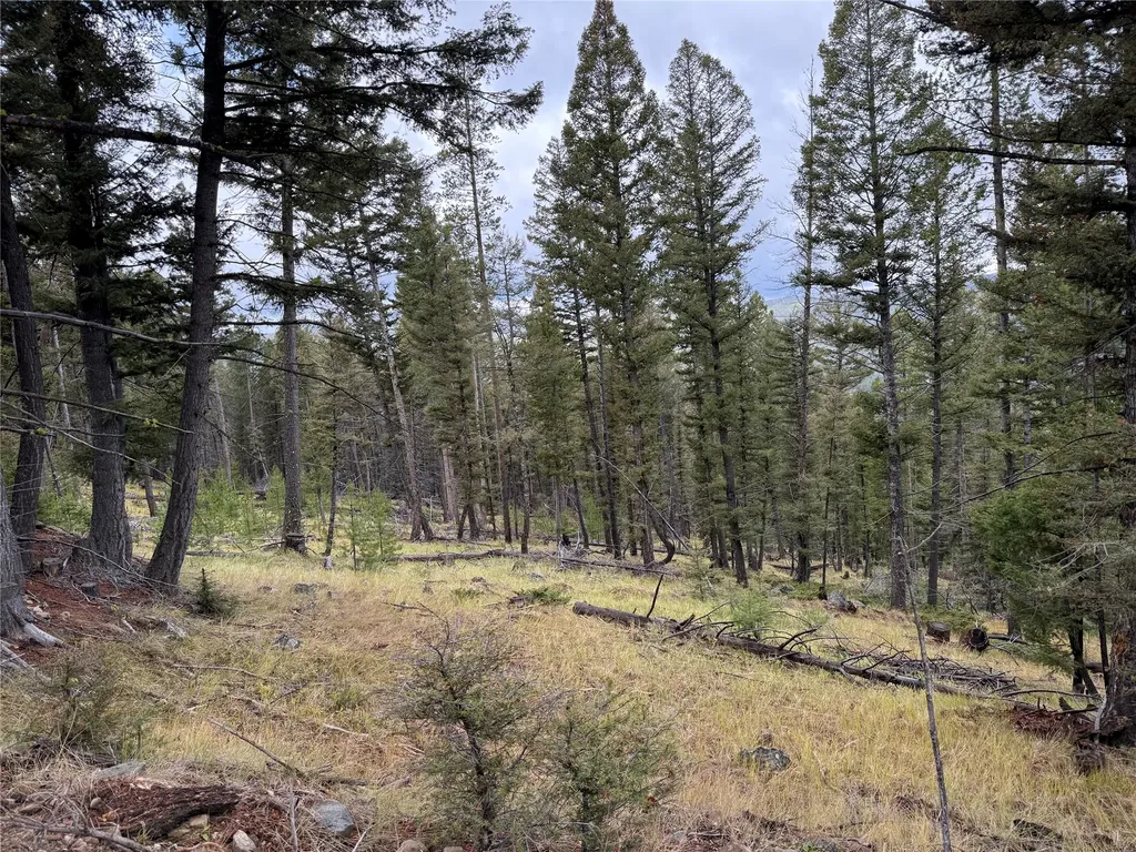 Lot 8 Ruby Mine Road Butte MT 59701