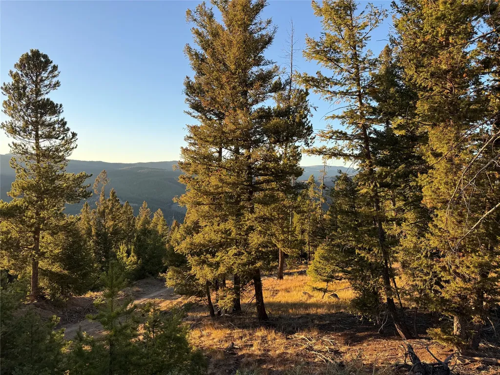 Lot 8 Ruby Mine Road Butte MT 59701