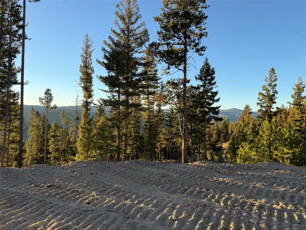 Lot 8 Ruby Mine Road Butte MT 59701