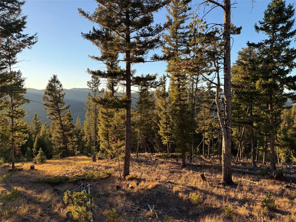 Lot 8 Ruby Mine Road Butte MT 59701