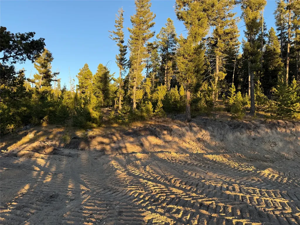 Lot 8 Ruby Mine Road Butte MT 59701