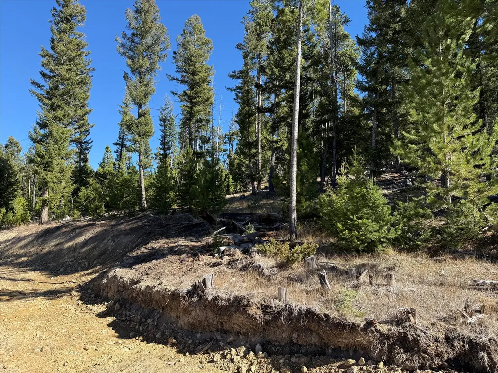 Lot 8 Ruby Mine Road Butte MT 59701