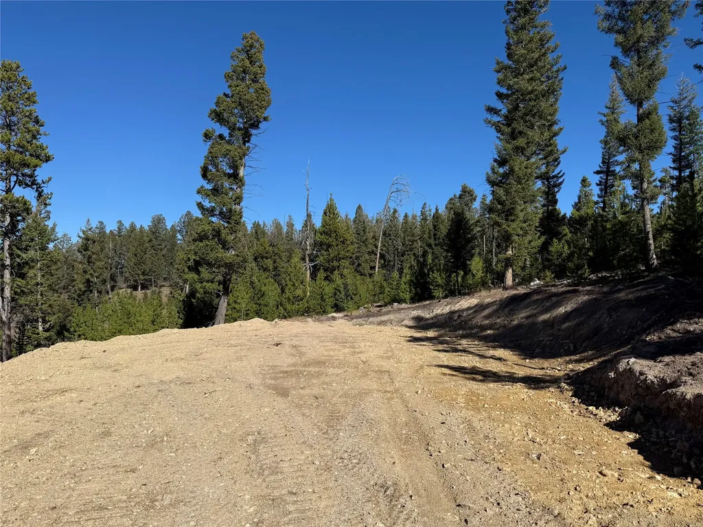 Lot 8 Ruby Mine Road Butte MT 59701