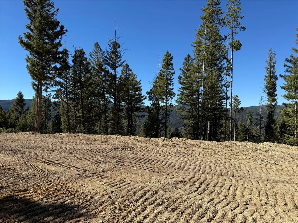 Lot 8 Ruby Mine Road Butte MT 59701