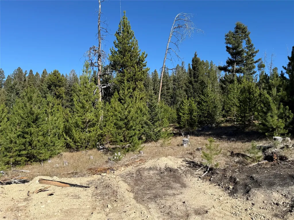 Lot 8 Ruby Mine Road Butte MT 59701