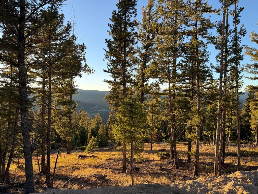 Lot 8 Ruby Mine Road Butte MT 59701