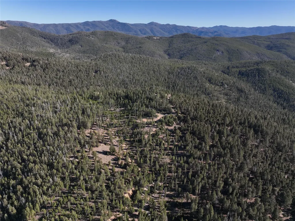 Lot 8 Ruby Mine Road Butte MT 59701