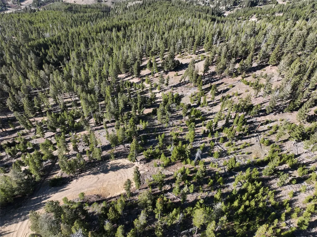 Lot 8 Ruby Mine Road Butte MT 59701