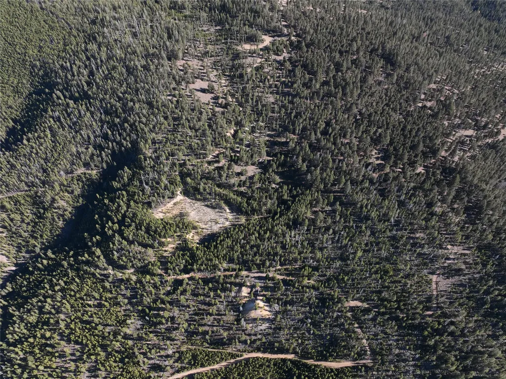 Lot 8 Ruby Mine Road Butte MT 59701