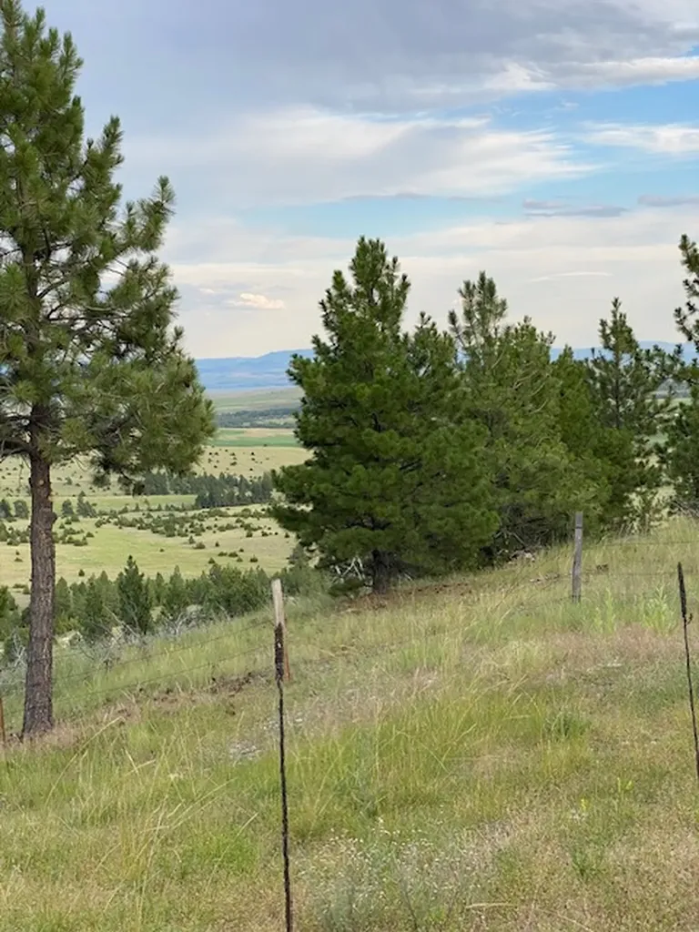 East Helena MT 59635