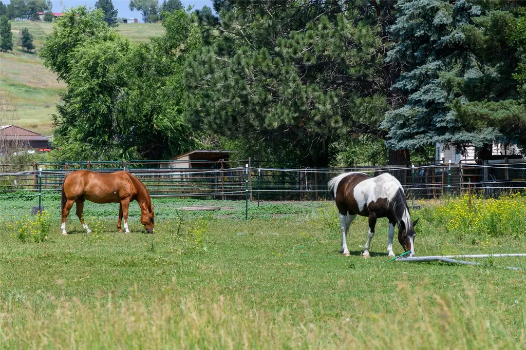 9849 Lees Lane Missoula MT 59808