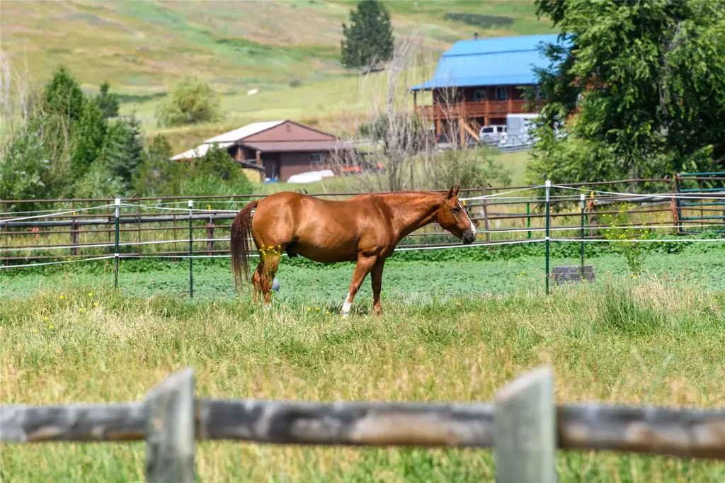 9849 Lees Lane Missoula MT 59808