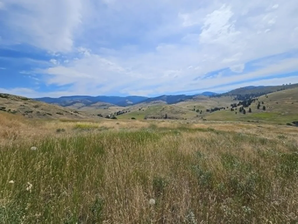 132 Hillview Road Plains MT 59859