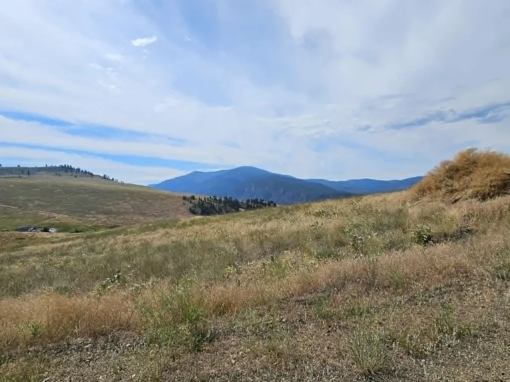 132 Hillview Road Plains MT 59859