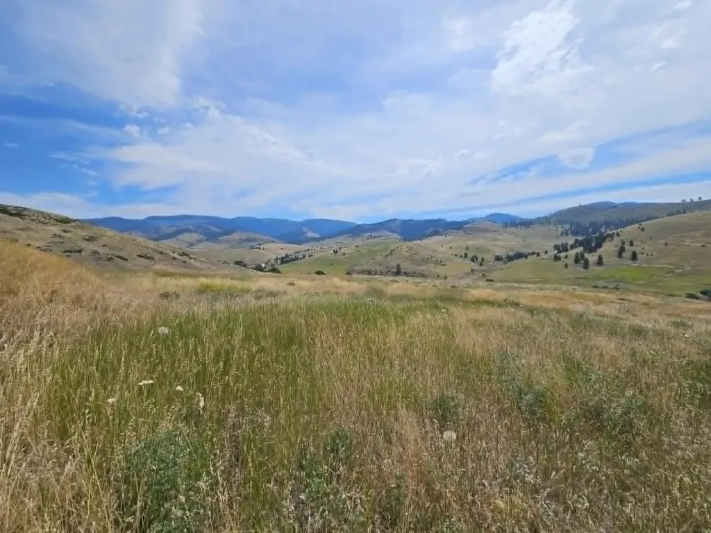132 Hillview Road Plains MT 59859