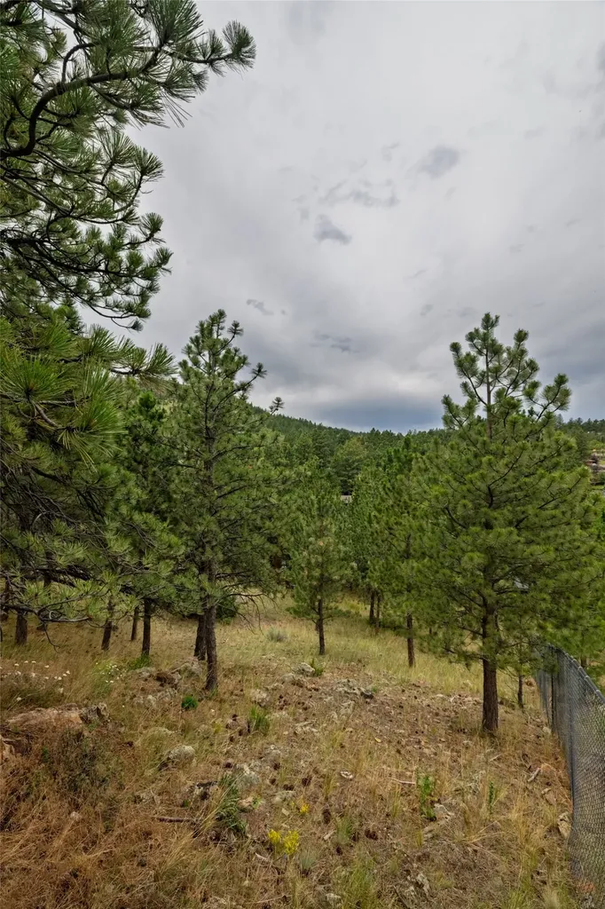 526 S Harris Street Helena MT 59601