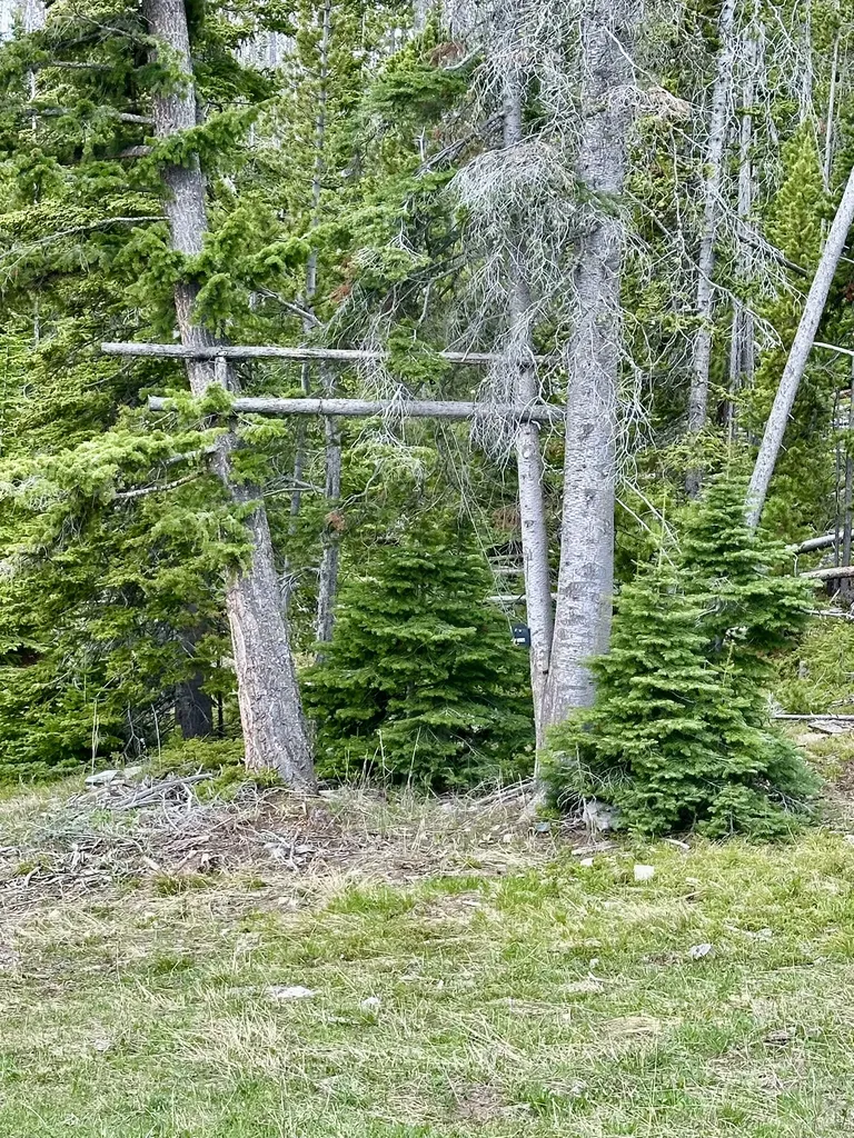 22 Indian Creek Road Townsend MT 59644