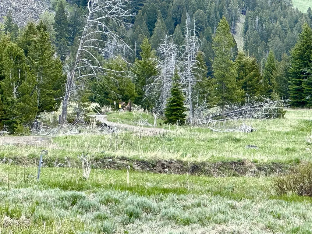 22 Indian Creek Road Townsend MT 59644