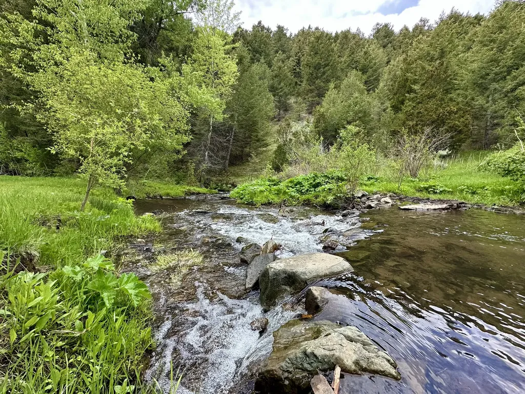 22 Indian Creek Road Townsend MT 59644