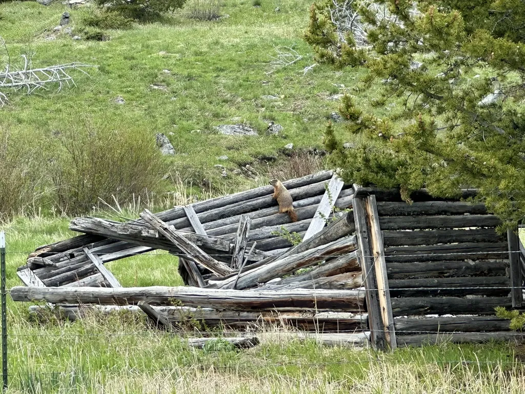 22 Indian Creek Road Townsend MT 59644