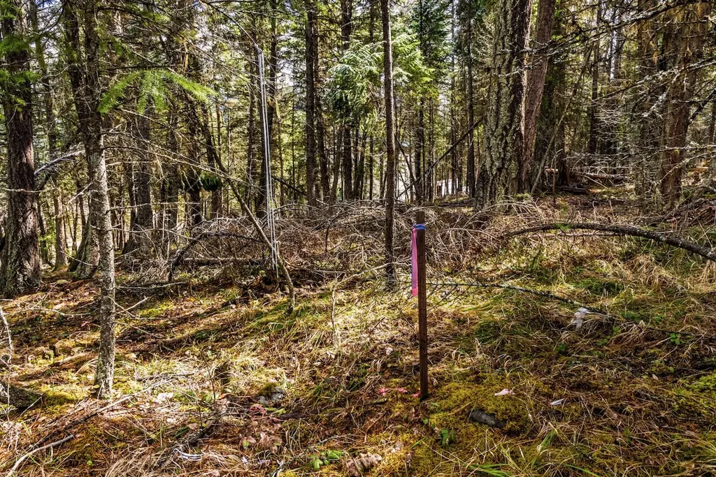 Nhn Glen Lake Road Eureka MT 59917