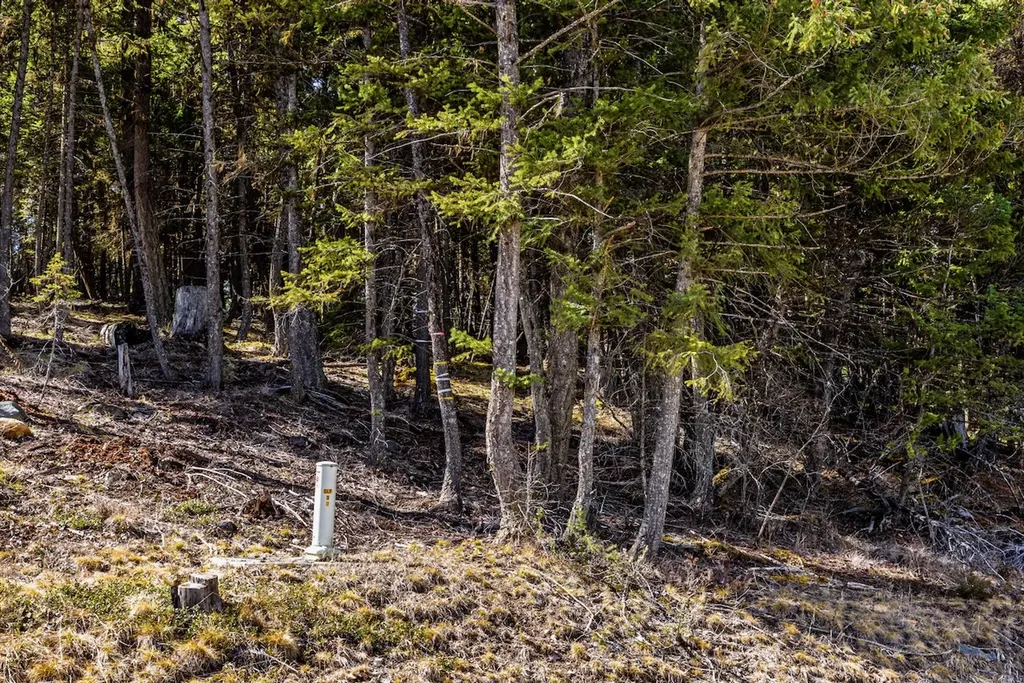 Nhn Glen Lake Road Eureka MT 59917