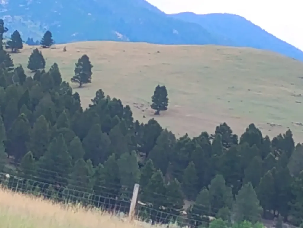 Lot 113 Aspen Valley Ranches Subdivision Boulder MT 59632