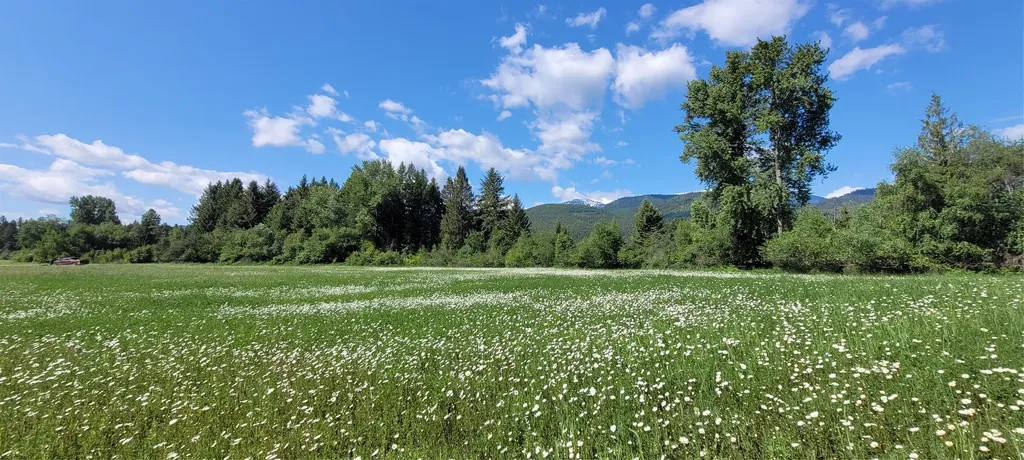 1083 Kootenai Views Drive Libby MT 59923
