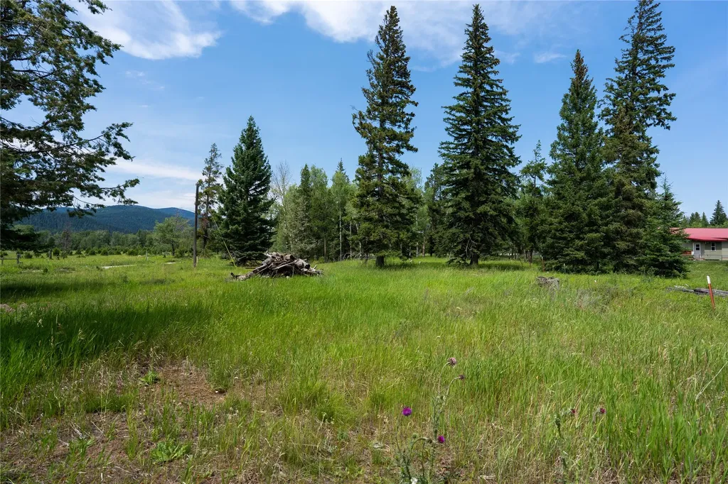 1361 Dalton Mountain Road Lincoln MT 59639