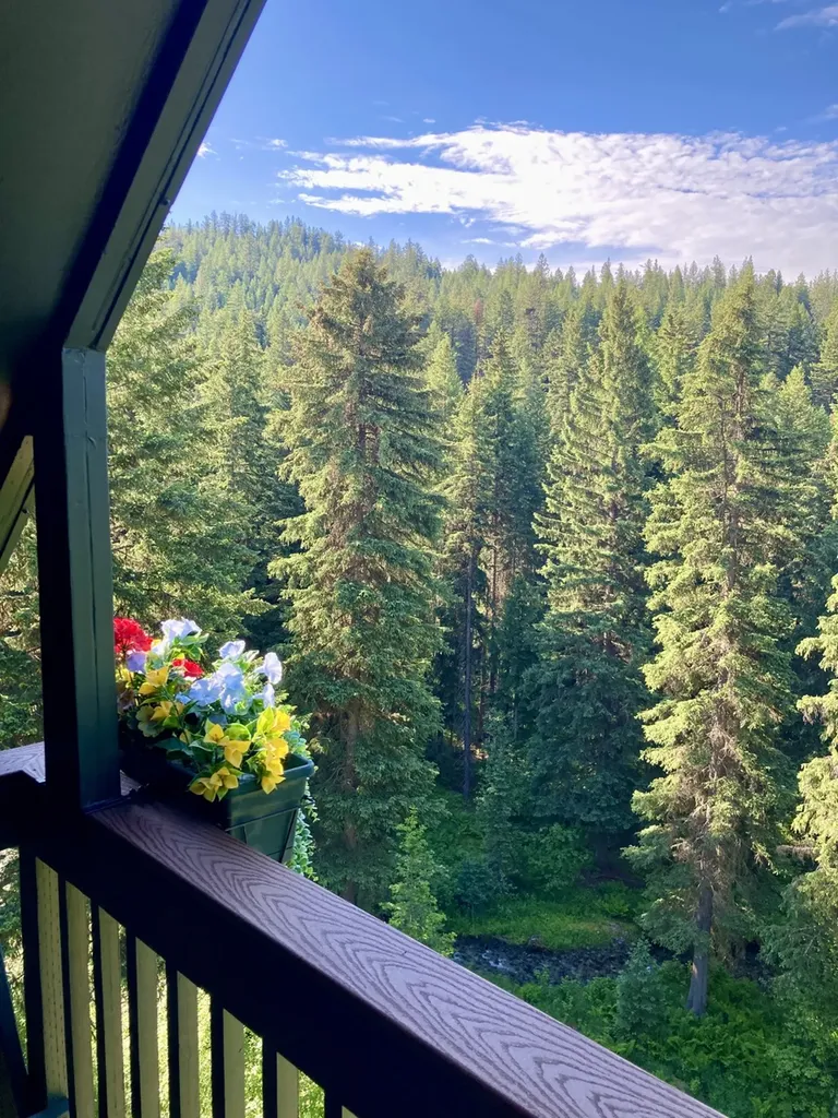 26350/26445 Butler Creek Huson MT 59846