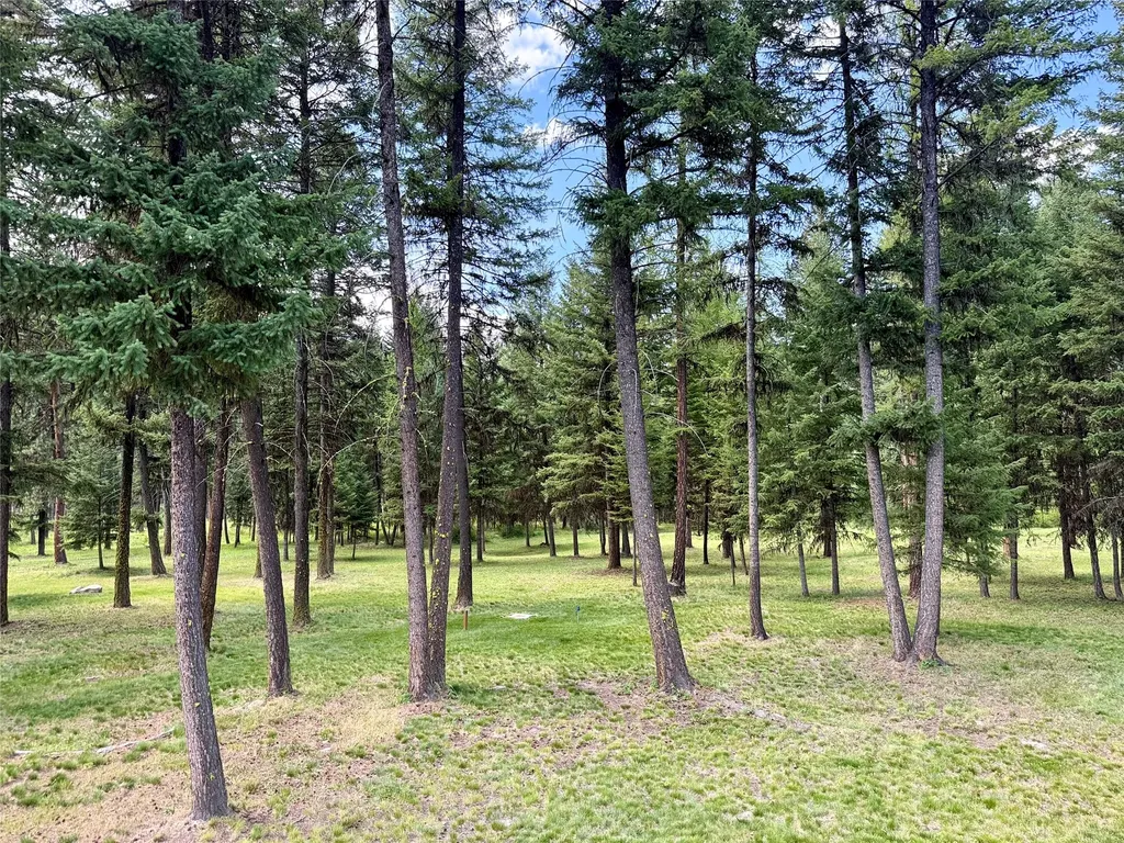 23650 Butler Creek Huson MT 59846
