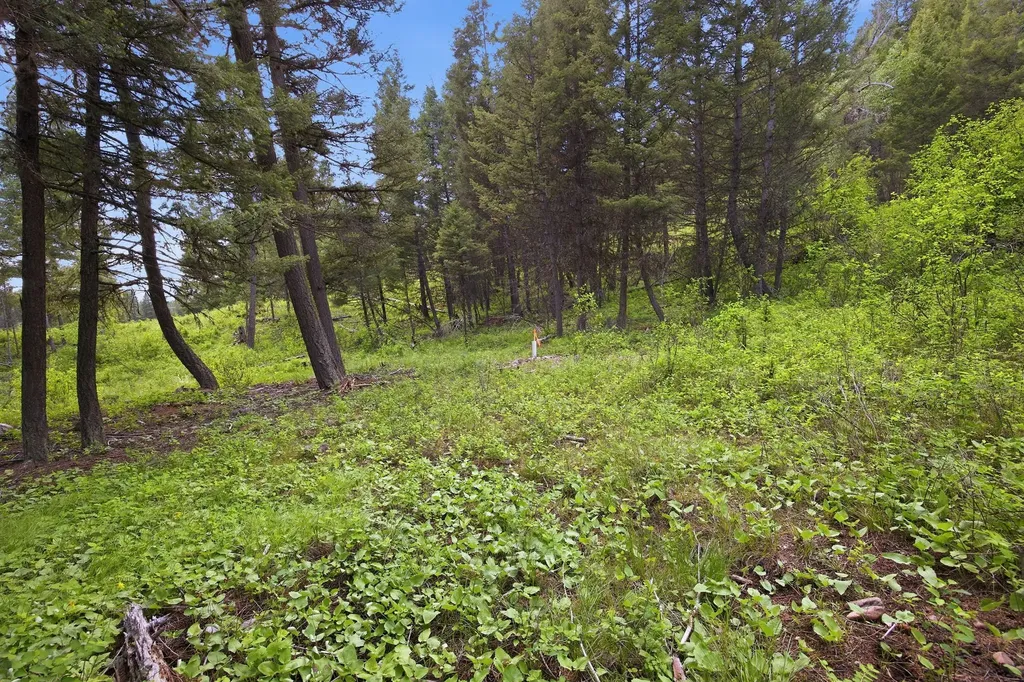 2 Big Waters Ranch Seeley Lake MT 59868