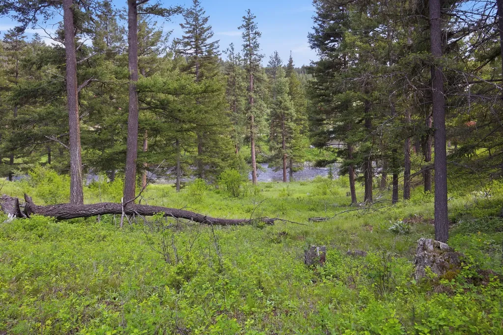2 Big Waters Ranch Seeley Lake MT 59868