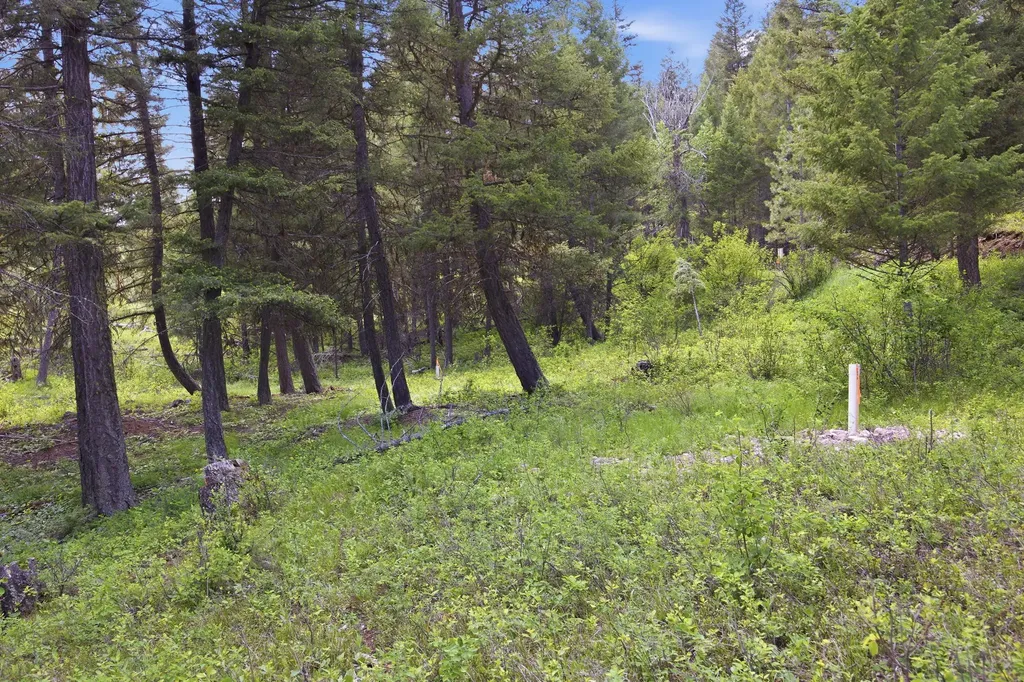 2 Big Waters Ranch Seeley Lake MT 59868