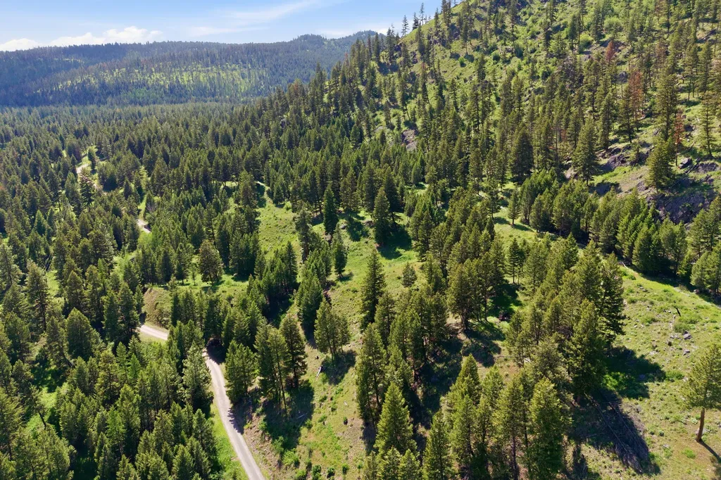 2 Big Waters Ranch Seeley Lake MT 59868