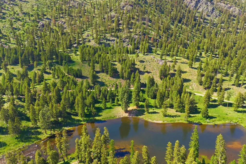 2 Big Waters Ranch Seeley Lake MT 59868