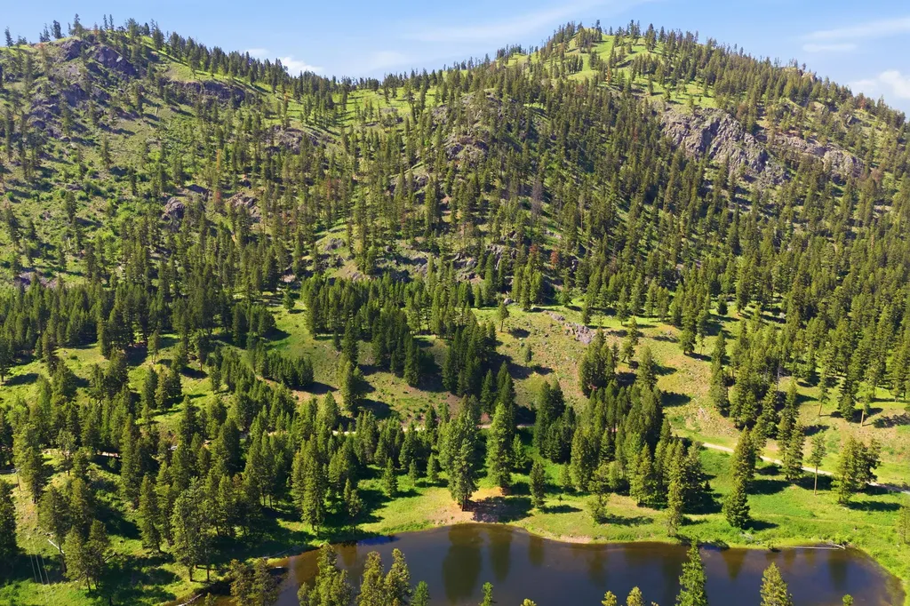 2 Big Waters Ranch Seeley Lake MT 59868