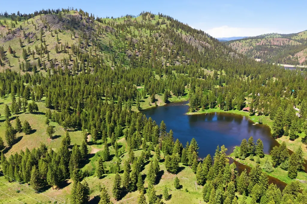 3 Big Waters Ranch Road Seeley Lake MT 59868