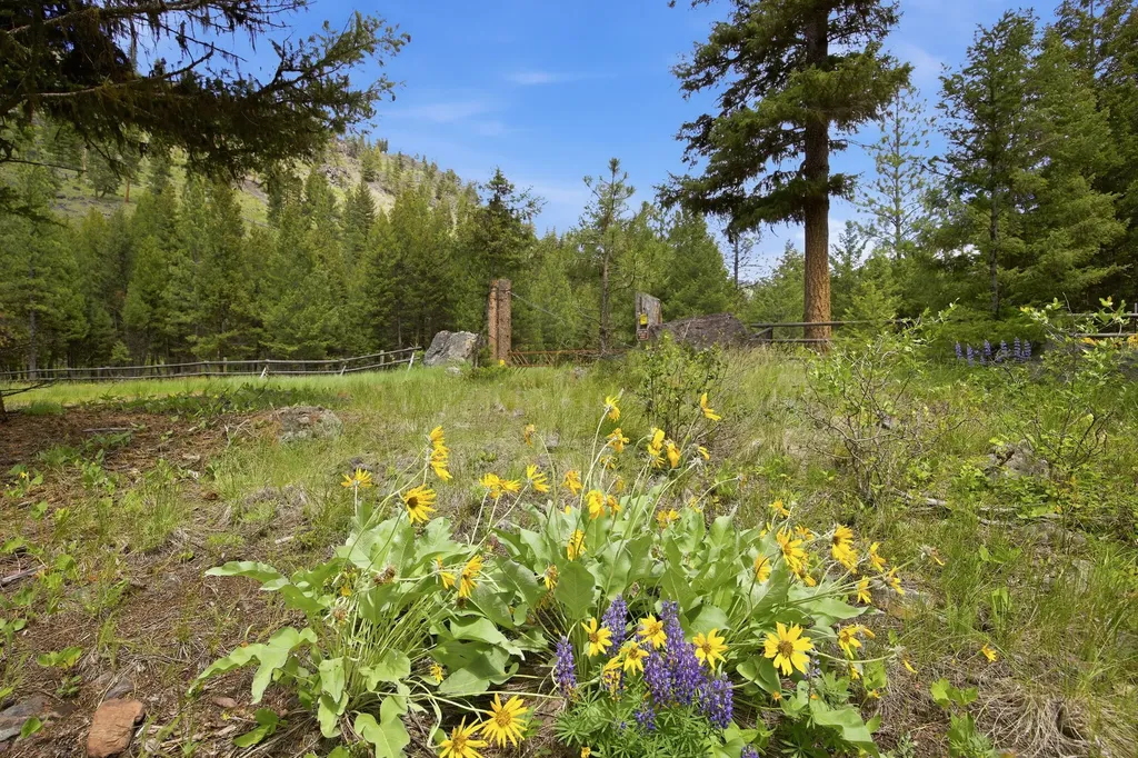 3 Big Waters Ranch Road Seeley Lake MT 59868
