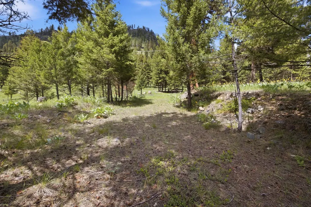 3 Big Waters Ranch Road Seeley Lake MT 59868