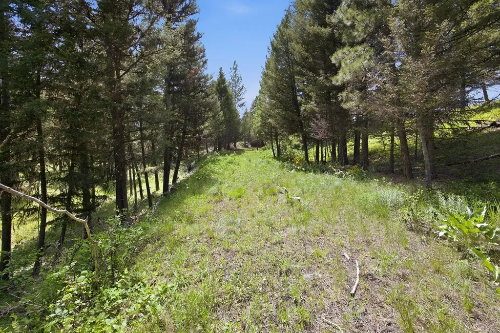 3 Big Waters Ranch Road Seeley Lake MT 59868
