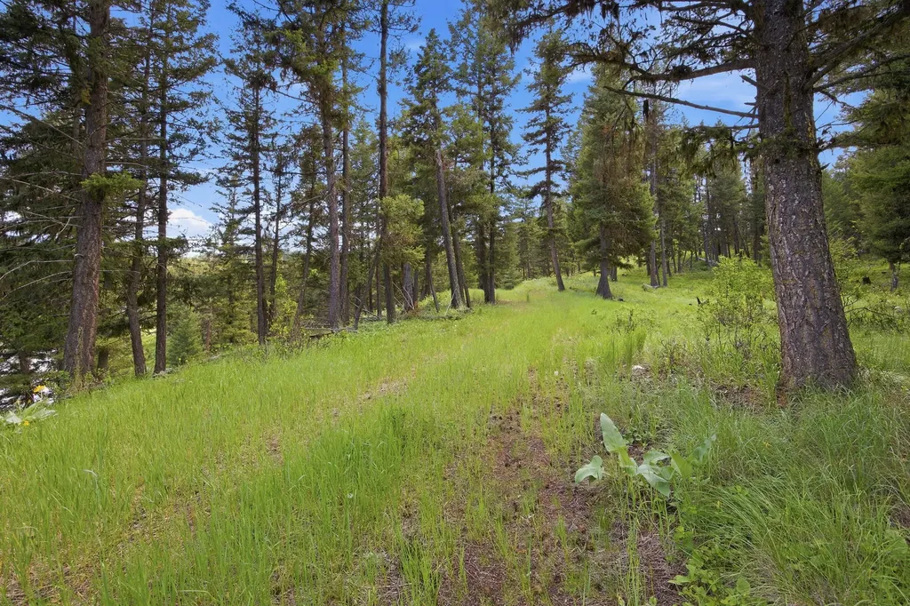 3 Big Waters Ranch Road Seeley Lake MT 59868